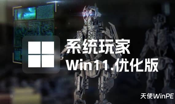 系统玩家 Win11 24H2 LTSC 26100.3476 优化版